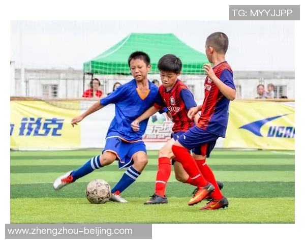 武汉乒乓球队的拼搏之路与荣耀时刻全景回顾