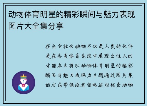 动物体育明星的精彩瞬间与魅力表现图片大全集分享